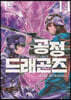 공정 드래곤즈 14