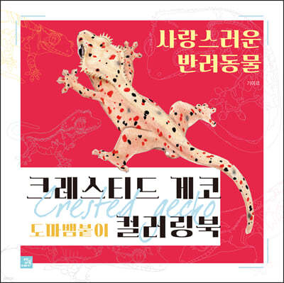 크레스티드 게코 도마뱀붙이 컬러링북