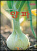 농업기술길잡이 : 양파 (개정2판)