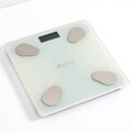 [슈미트] 리얼 인바디 블루투스 체중계 (화이트) SMT-2210W