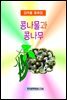 콩나물과 콩나무