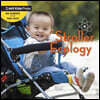 Stroller Ecology