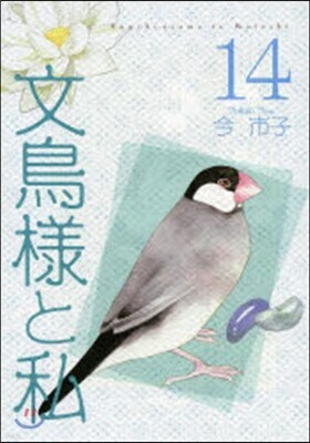 文鳥樣と私  14