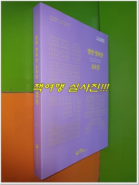 함안 말이산 8호분 : 말갑옷 (2022년)