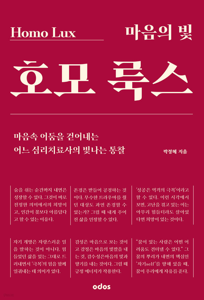 마음의 빛 호모 룩스