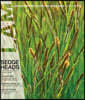 LANDSCAPE ARCHITECTURE (월간) : 2023년 05월