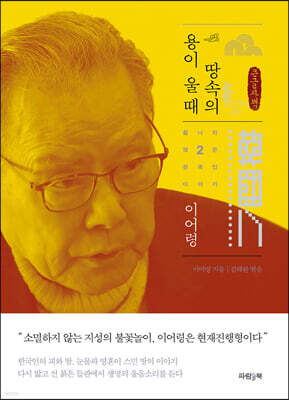 땅속의 용이 울 때 (큰글자책)