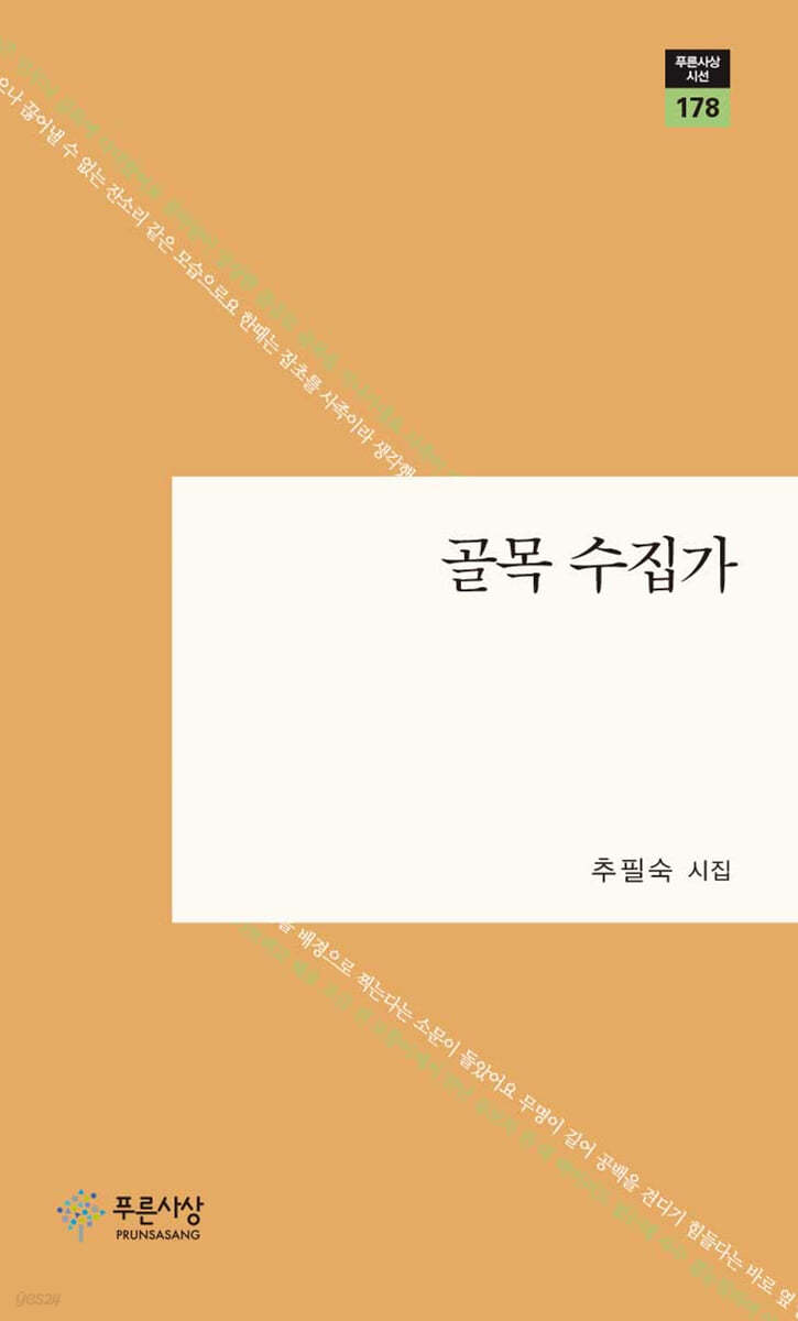 골목 수집가