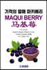 기적의 열매 마키베리 MAQUI BERRY 마기매