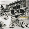 Billy Bragg & Wilco (빌리 브랙 & 윌코) - Mermaid Avenue Vol.II [2 LP]