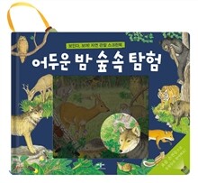 어두운 밤 숲 속 탐험