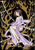 CLAMP PREMIUM COLLECTION X 14