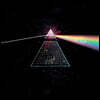 핑크 플로이드 헌정 음반 (Return To The Dark Side Of The Moon - a Tribute to Pink Floyd) [그린 컬러 LP]