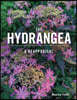 The Hydrangea