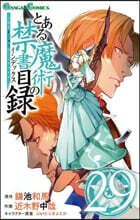 とある魔術の禁書目錄 29