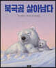 북극곰 살아남다