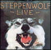 Steppenwolf (스태픈울프) - Live