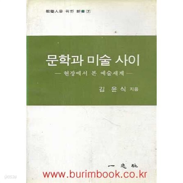 교양인을위한신서 7 문학과 미술 사이 현장에서본예술세계