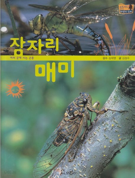 잠자리ㆍ매미 (교과서가 보이는 자연의 신비, 36 - 여러 곳에 사는 곤충)