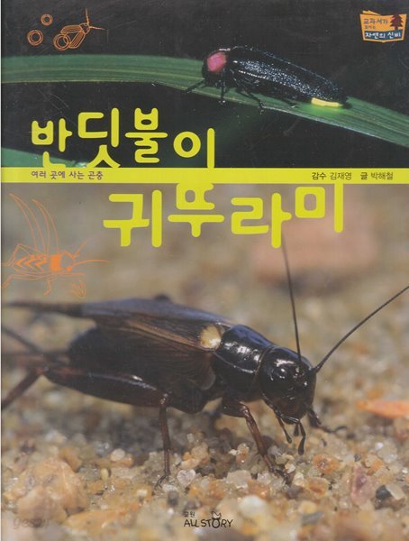 반딧불이ㆍ귀뚜라미 (교과서가 보이는 자연의 신비, 41 - 여러 곳에 사는 곤충)