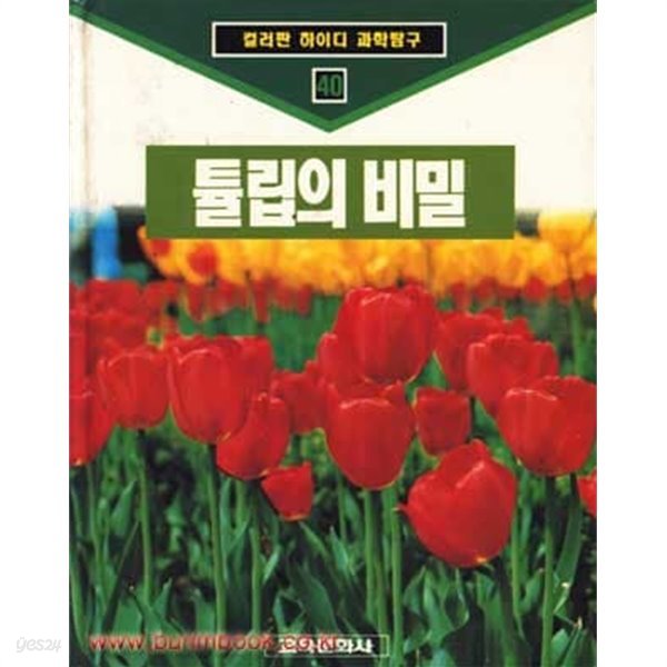 컬러판 하이디 과학탐구 40 튤립의 비밀