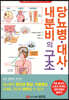 당뇨병 대사 내분비의 구조