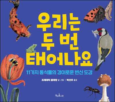 우리는 두 번 태어나요