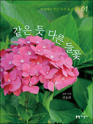 같은 듯 다른 들꽃