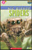 Scholastic Hello Reader Level 3 #24: Spiders (Book + StoryPlus QR)