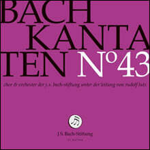 Rudolf Lutz 바흐: 칸타타 43집 (Bach: Cantatas BWV38, BWV89, BWV138)