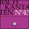 Rudolf Lutz 바흐: 칸타타 43집 (Bach: Cantatas BWV38, BWV89, BWV138)