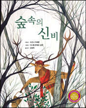 숲속의 신비
