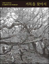 거목을 찾아서