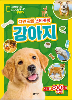 내셔널지오그래픽 키즈 자연 관찰 스티커북 강아지