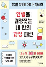 인생을 결정짓는 내 안의 감정 패턴