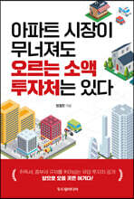 아파트 시장이 무너져도 오르는 소액 투자처는 있다