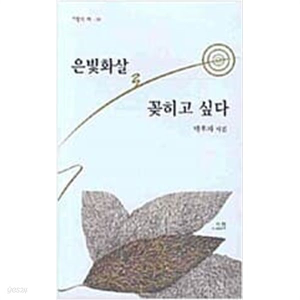 은빛화살로 꽂히고 싶다- 시원의 책 38 