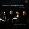파가니니: 기타와 현을 위한 사중주 4, 5 & 10번 (Paganini: Quartets for Strings and Guitar Nos.5, 4 & 10)(CD) - Paganini Ensemble Vienna