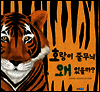 호랑이 줄무늬 왜 있을까?