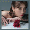 이바다 - Special Edition [LP]