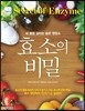효소의 비밀