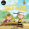 It's the Small Things, Charlie Brown!