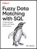 Fuzzy Data Matching with SQL: Enhancing Data Quality and Query Performance