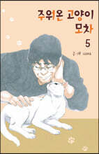 주워온 고양이 모차 5