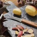 OPINEL 오피넬 에센셜 베지터블 나이프 작은 야채칼