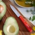 OPINEL 오피넬 에센셜 톱날 페어링 나이프