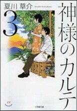 神樣のカルテ(3)