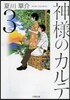 神樣のカルテ   3
