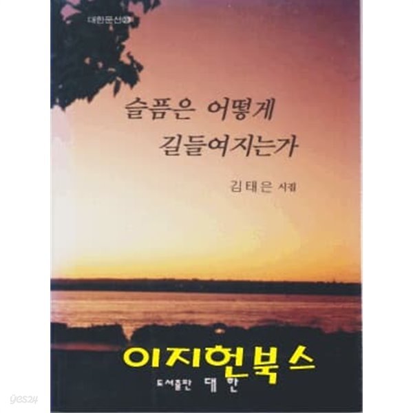 슬픔은 어떻게 길들여지는가 : 김태은 시집