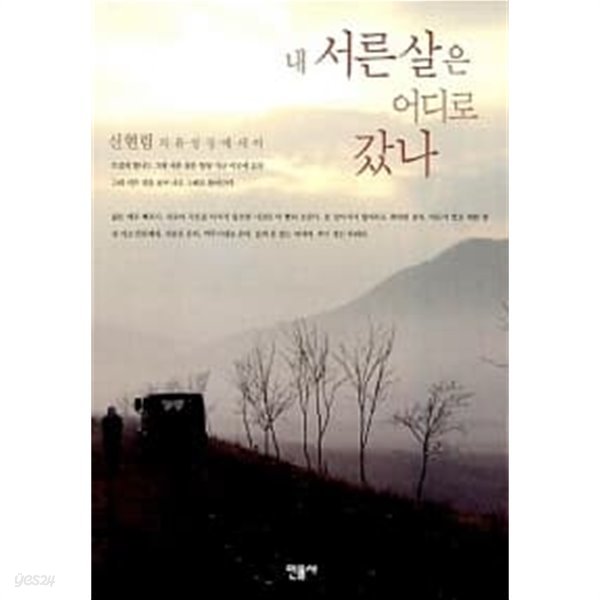 내 서른 살은 어디로 갔나// 개인 소장 도서 깨끗함 ******* 북토피아